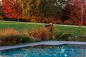 NATURAL SWIMMING POND GARDEN, ITALY BY GPT STUDIO, FALL, AUTUMN, OCTOBER, SWIMMING POOL, DECKING, LAWN, GRASS, TREES
