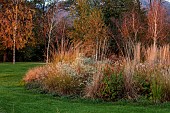 NATURAL SWIMMING POND GARDEN, ITALY BY GPT STUDIO, FALL, AUTUMN, OCTOBER: GRASSES, ASTER PRINGLEI MONTE CASSINO, PERSICARIA AMPLEXICAULIS, MOLINIA TRANSPRENT, PENNISETUM HAMELN