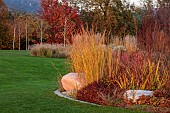 NATURAL SWIMMING POND GARDEN, ITALY BY GPT STUDIO, FALL, AUTUMN, OCTOBER, BORDER BESIDE POOL, BOULDERS, ROCKS, GRASSES, SPARTINA PECTINATA AUREOMARGINATA