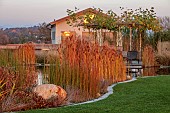 NATURAL SWIMMING POND GARDEN, ITALY BY GPT STUDIO, FALL, AUTUMN, OCTOBER, PLATANUS X HISPANICA, DECKING, LOUNGERS, POOL, POND, TYPHA LAXMANNII, HOUSE, ROCKS, BOULDERS
