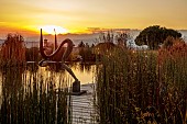 NATURAL SWIMMING POND GARDEN, ITALY BY GPT STUDIO, FALL, AUTUMN, OCTOBER, NATURAL SWIMMING POND, POOL, DECKING, SCULPTURE BY LEON BRONSTEIN, SUNSET