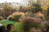 NATURAL SWIMMING POND GARDEN, ITALY BY GPT STUDIO, FALL, AUTUMN, OCTOBER, BORDER, GRASSES, BOX BALLS, MOLINIA TRANSPARENT, MISCANTHUS MORNING LIGHT, LAWN, PENNISETUM HAMELN