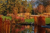 NATURAL SWIMMING POND GARDEN, ITALY BY GPT STUDIO, FALL, AUTUMN, OCTOBER, NATURAL SWIMMING POND, POOL, WATER, REFLECTIONS, REFLECTED, BORROWED LANDSCAPE