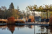 NATURAL SWIMMING POND GARDEN, ITALY BY GPT STUDIO, AUTUMN, OCTOBER, PLATANUS X HISPANICA, PENNISETUM HAMELN, DECKING, LOUNGERS, POOL, POND, WATER