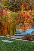 NATURAL SWIMMING POND GARDEN, ITALY BY GPT STUDIO, FALL, AUTUMN, OCTOBER, STONE SLABS, STEPPING STONES IN WATER, POOL, POND, EQUISETUM HYEMALE, REFLECTIONS, PATH