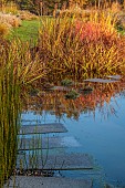 NATURAL SWIMMING POND GARDEN, ITALY BY GPT STUDIO, FALL, AUTUMN, OCTOBER, STONE SLABS, STEPPING STONES IN WATER, POOL, POND, REFLECTIONS, PATH