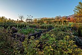 NATURAL SWIMMING POND GARDEN, ITALY BY GPT STUDIO, FALL, AUTUMN, OCTOBER, MINI ORCHARD, VEGETABLE GARDEN, KITCHEN GARDEN