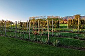 NATURAL SWIMMING POND GARDEN, ITALY BY GPT STUDIO, FALL, AUTUMN, OCTOBER, MINI ORCHARD, VEGETABLE GARDEN, KITCHEN GARDEN