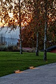 NATURAL SWIMMING POND GARDEN, ITALY BY GPT STUDIO, FALL, AUTUMN, OCTOBER, PATH, DRIVE, TREES, LIT UP AT NIGHT, EVENING, LIGHTS, LIGHTING