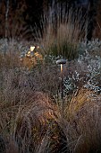 GARDEN, ITALY BY GPT STUDIO, FALL, AUTUMN, OCTOBER, ASTER PRINGLEI MONTECASSINO, SYMPHYOTRICHUM PILOSUM VAR. PRINGLEI MONTE CASSINO, MUSHROOM LIGHTS BY 9010NOVANTADIECI, LIGHTING