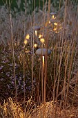 GARDEN, ITALY BY GPT STUDIO, FALL, AUTUMN, OCTOBER, ASTER PRINGLEI MONTECASSINO, PENNISETUM HAMELN, MUSHROOM LIGHTS BY 9010NOVANTADIECI, LIGHTING, NIGHT