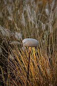 GARDEN, ITALY BY GPT STUDIO, FALL, AUTUMN, OCTOBER, PENNISETUM HAMELN, MUSHROOM LIGHTS BY 9010NOVANTADIECI, LIGHTING, NIGHT