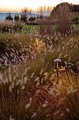 GARDEN, ITALY BY GPT STUDIO, FALL, AUTUMN, OCTOBER, PENNISETUM HAMELN, MUSHROOM LIGHTS BY 9010NOVANTADIECI, LIGHTING