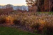 GARDEN, ITALY BY GPT STUDIO, FALL, AUTUMN, OCTOBER, PENNISETUM HAMELN, MUSHROOM LIGHTS BY 9010NOVANTADIECI, LIGHTING
