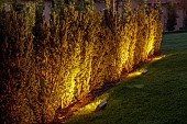 NATURAL SWIMMING POND GARDEN, ITALY BY GPT STUDIO, FALL, AUTUMN, OCTOBER, MINI ORCHARD, VEGETABLE GARDEN, KITCHEN GARDEN, HEDGES, HEDGING, LIGHTS, LIGHTING, EVENING