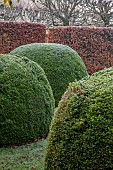 WOLLERTON OLD HALL, SHROPSHIRE: NOVEMBER, FROST, WINTER, CLIPPED TOPIARY BOX, HEDGES, HEDGING, FORMAL, COUNTRY, FONT GARDEN