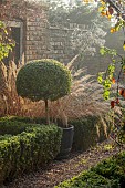 WOLLERTON OLD HALL, SHROPSHIRE: NOVEMBER, FROST, WINTER: CLIPPED TOPIARY AND GRASSES IN BORDER IN THE LONG WALK, BOX EDGED BEDDING, WALLS