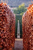 WOLLERTON OLD HALL, SHROPSHIRE: NOVEMBER, FROST, WINTER, OBELISK STATUE, BEECH HEDGES, HEDGING, YEW HEDGES, HEDGING, VISTA, FORMAL, COUNTRY, GARDEN