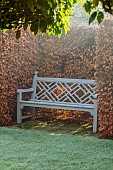 WOLLERTON OLD HALL, SHROPSHIRE: NOVEMBER, FROST, WINTER, LAWN, BEECH HEDGES, HEDGING, WOODEN BENCH, SEAT, OLD GARDEN, FORMAL, COUNTRY