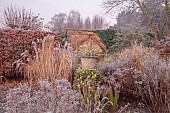 WOLLERTON OLD HALL, SHROPSHIRE: NOVEMBER, FROST, WINTER, HEDGES, HEDGING, LANHYDROCK, IVY, STONE CONTAINER, GRASSES, PERENNIALS
