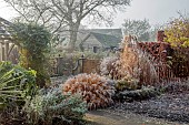 WOLLERTON OLD HALL, SHROPSHIRE: NOVEMBER, FROST, WINTER, GRASSES, LANHYDROCK GARDEN, CALAMAGROSTIS BRACHYTRICHA