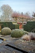 WOLLERTON OLD HALL, SHROPSHIRE: NOVEMBER, FROST, WINTER, THE RILL GARDEN, CLIPPED TOPIARY, HEDGES, HEDGING, RILL