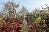 WOLLERTON OLD HALL, SHROPSHIRE: NOVEMBER, FROST, WINTER, THE SUMMERHOUSE GARDEN, PATHS