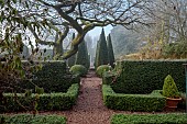 WOLLERTON OLD HALL, SHROPSHIRE: FROST , WINTER, NOVEMBER, PATHS, THE NEW WELL GARDEN, CLIPPED TOPIARY YEWS, HEDGES, HEDGING