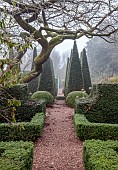 WOLLERTON OLD HALL, SHROPSHIRE: FROST , WINTER, NOVEMBER, PATHS, THE NEW WELL GARDEN, CLIPPED TOPIARY YEWS, HEDGES, HEDGING