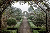 WOLLERTON OLD HALL, SHROPSHIRE: NOVEMBER, FROST, WINTER, THE LONG WALK, PATHS, BOX HEDGES, HEDGING, CLIPPED TOPIARY