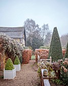 WOLLERTON OLD HALL, SHROPSHIRE: NOVEMBER, FROST, WINTER, THE YEW WALK, WOODEN FENCING, FENCES, CLIPPED TOPIARY, CLIPPED YEW, CLIPPED BEECH, HEDGES, HEDGING