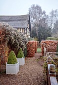 WOLLERTON OLD HALL, SHROPSHIRE: NOVEMBER, FROST, WINTER, THE YEW WALK, WOODEN FENCING, FENCES, CLIPPED TOPIARY, CLIPPED YEW, CLIPPED BEECH, HEDGES, HEDGING