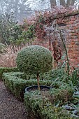 WOLLERTON OLD HALL, SHROPSHIRE: NOVEMBER, FROST, WINTER, THE LONG WALK, CLIPPED TOPIARY, WALL