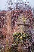 WOLLERTON OLD HALL, SHROPSHIRE: NOVEMBER, FROST, WINTER, HEDGES, HEDGING, LANHYDROCK, IVY, STONE CONTAINER, GRASSES, PERENNIAL