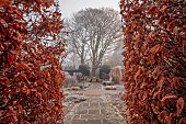 WOLLERTON OLD HALL, SHROPSHIRE: NOVEMBER, FROST, WINTER, HEDGES, HEDGING, LANHYDROCK, PATH, HEDGES, HEDGING
