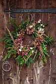 WOLLERTON OLD HALL, SHROPSHIRE: WREATH ON FRONT DOOR, CORNUS SIBERICA, YEW, HYDRANGEA WESTFALEN, CALAMAGROSTIS BRACHYTRICHA, EUONYMUS HAMILTONIANUS CORAL CHIEF