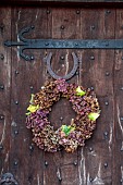 WOLLERTON OLD HALL, SHROPSHIRE: WREATH ON FRONT DOOR, CORYLUS AVELANA, HEDERA, HYDRANGEA MACROPHYLLA WESTFALEN