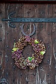 WOLLERTON OLD HALL, SHROPSHIRE: WREATH ON FRONT DOOR, CORYLUS AVELANA, HEDERA, HYDRANGEA MACROPHYLLA WESTFALEN