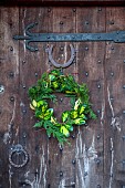 WOLLERTON OLD HALL, SHROPSHIRE: WREATH ON FRONT DOOR, CORNUS SIBERICA, THUJA OCCIDENTALIS, ILEX X ALTACLERENSIS
