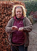WOLLERTON OLD HALL, SHROPSHIRE: WREATH MAKING BY HEAD GARDENER CLAIRE TATLER, CORNUS SIBERICA STEMS TWISTED TOGETHER