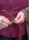 WOLLERTON OLD HALL, SHROPSHIRE: WREATH MAKING BY HEAD GARDENER CLAIRE TATLER, CORNUS SIBERICA STEMS TWISTED AND THEN TIED TOGETHER WITH STRING