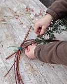 WOLLERTON OLD HALL, SHROPSHIRE: CORNUS SIBERICA WREATH BASE, HEAD GARDENER CLAIRE TATLER ADDING YEW