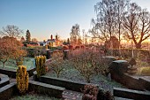 THE LASKETT GARDEN, HEREFORDSHIRE: WINTER, FROST, JANUARY, VIEW TO THE HOUSE FROM THE BELVEDERE, YEW HEDGES, HEDGING, SUNRISE