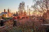 THE LASKETT GARDEN, HEREFORDSHIRE: WINTER, FROST, JANUARY, VIEW TO THE HOUSE FROM THE BELVEDERE, YEW HEDGES, HEDGING, SUNRISE