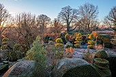 THE LASKETT GARDEN, HEREFORDSHIRE: WINTER, FROST, JANUARY, VIEW OF THE SERPENTINE WALK, KING HOLLIES, CLIPPED TOPIARY YEW, HEDGES, HEDGING, WILD GARDEN