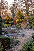 THE LASKETT GARDEN, HEREFORDSHIRE: WINTER, FROST, JANUARY, VIEW OF THE SERPENTINE WALK, KING HOLLIES, CLIPPED TOPIARY YEW, HEDGES, HEDGING, BLUE BENCH, SEAT, PATH