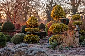 THE LASKETT GARDEN, HEREFORDSHIRE: WINTER, FROST, JANUARY, VIEW OF THE SERPENTINE WALK, KING HOLLIES, CLIPPED TOPIARY YEW, HEDGES, HEDGING