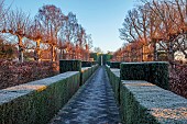 THE LASKETT GARDEN, HEREFORDSHIRE: WINTER, FROST, JANUARY, ELIZABETH TUDOR AVENUE, PLEACHED LIMES, TILIA PLATYPHYLLOS RUBRA, YEW HEDGES, HEDGING, IRISH YEW