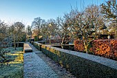 THE LASKETT GARDEN, HEREFORDSHIRE: WINTER, FROST, JANUARY, PATH, YEW HEDGES, HEDGING