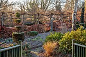 THE LASKETT GARDEN, HEREFORDSHIRE: WINTER, FROST, JANUARY, THE WILD GARDEN, GRASSES, CLIPPED YEW TOPIARY, PLEACHED LIMES, TILIA PLATYPHYLLOS RUBRA